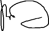 Leader Signature